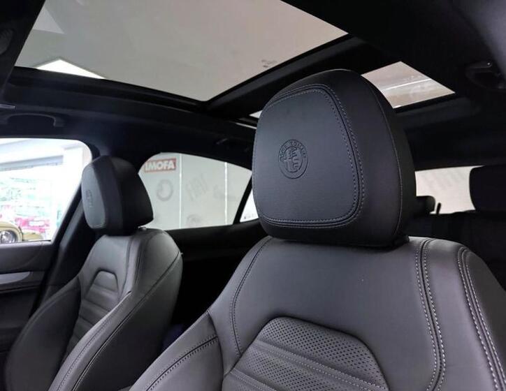 Alfa Romeo Stelvio 20