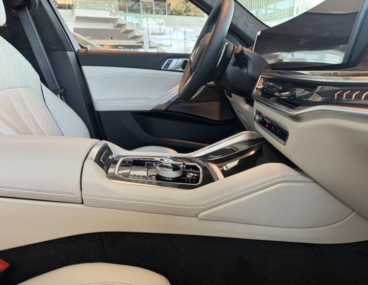 BMW X6 21