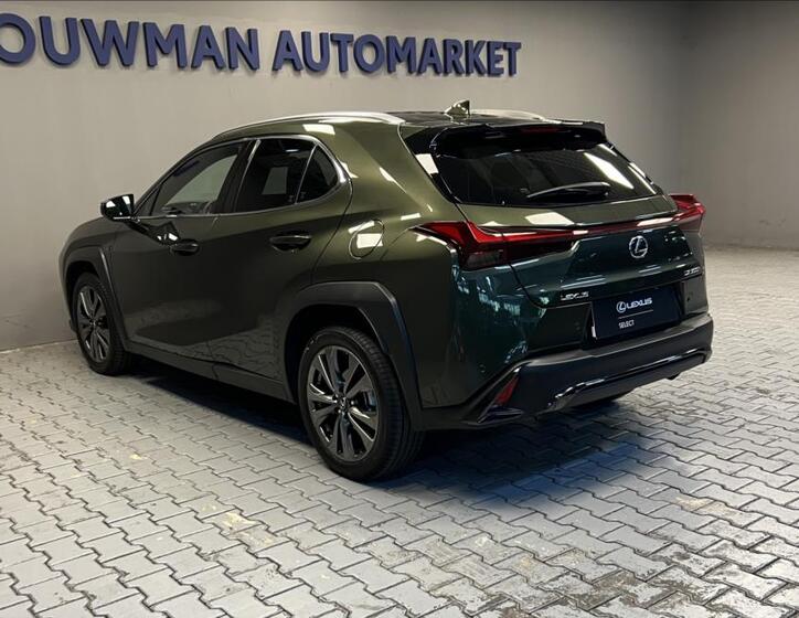 Lexus UX 300h 13