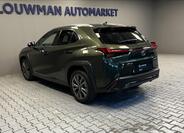 Lexus UX 300h 13