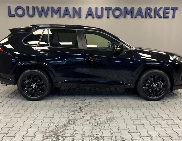 Toyota RAV4 16
