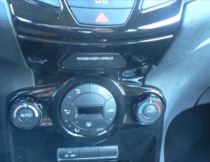 Ford Fiesta 15