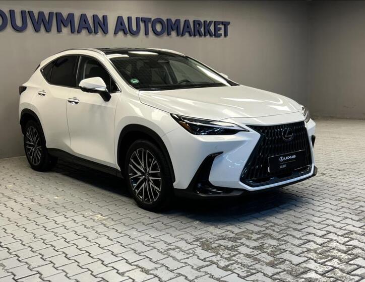 Lexus NX 350h 11
