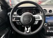 Ford Mustang 19