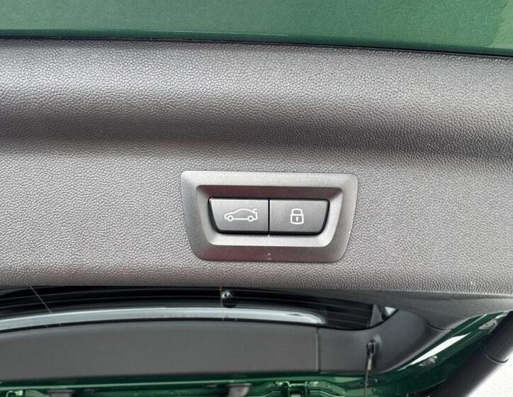 Mini Countryman 19