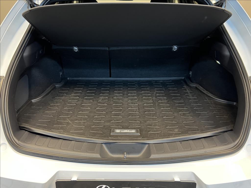 Lexus UX 300h