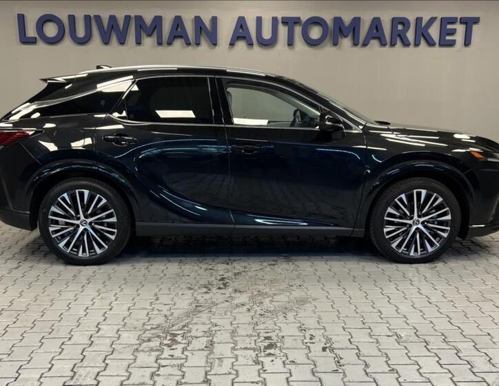 Lexus RX 450h plus 14