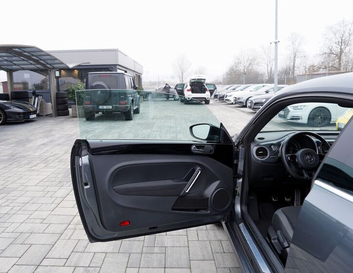 Volkswagen Beetle 16