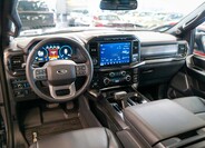 Ford F-150 25