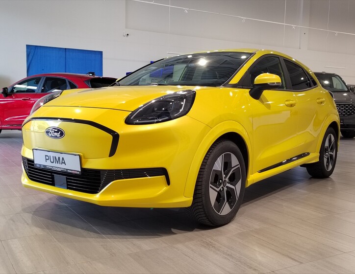 Ford Puma 12