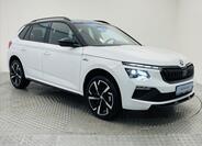 Škoda Kamiq 24