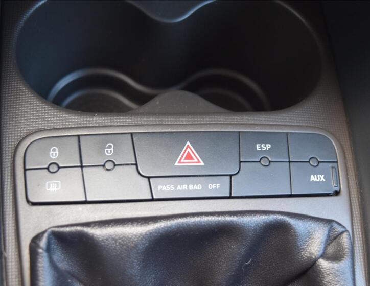 Seat Ibiza 44