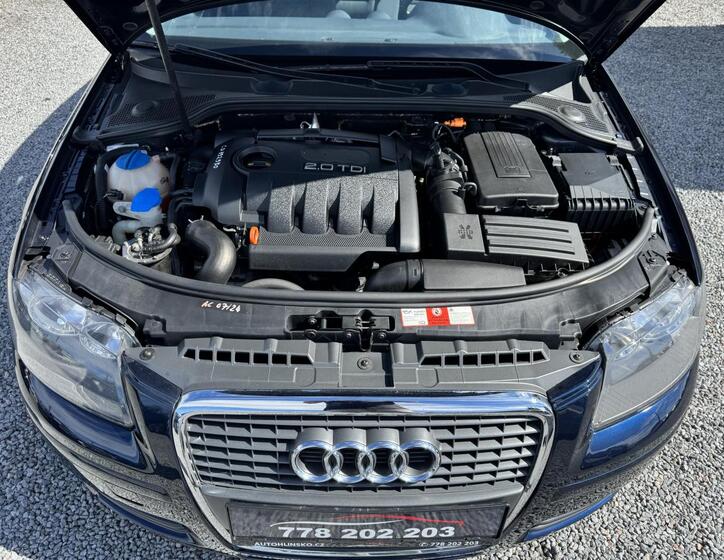 Audi A3 13