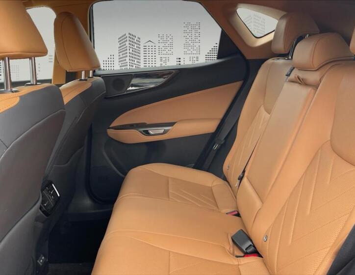 Lexus NX 350h 6