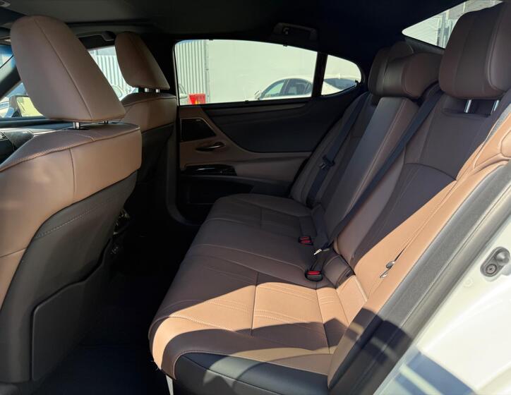 Lexus ES 300h 10