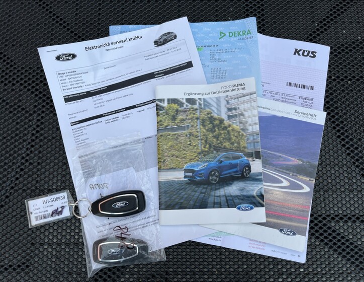 Ford Puma 38