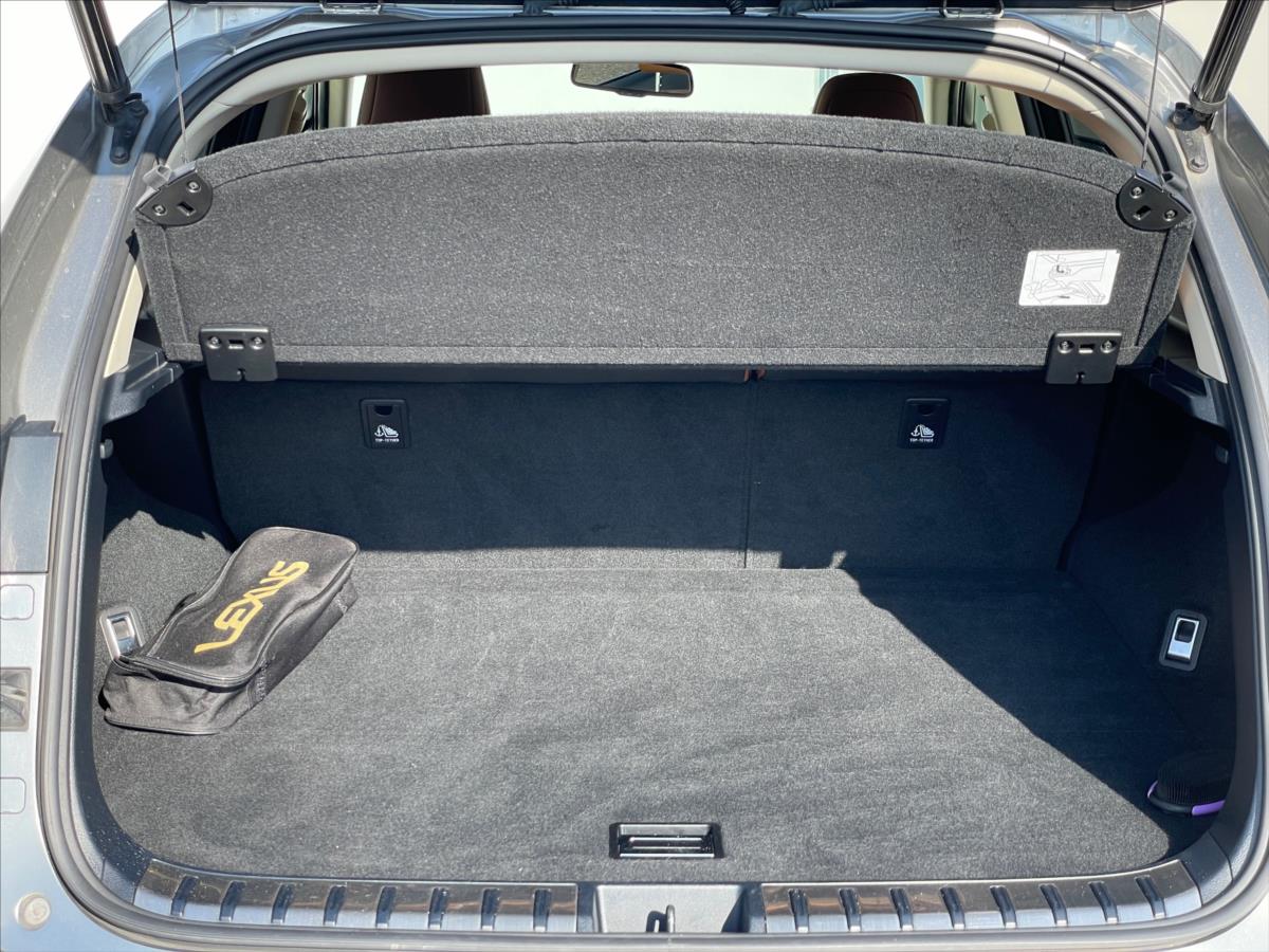 Lexus NX 300h