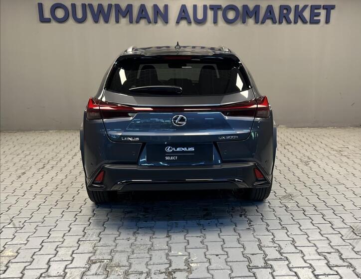 Lexus UX 300h 12