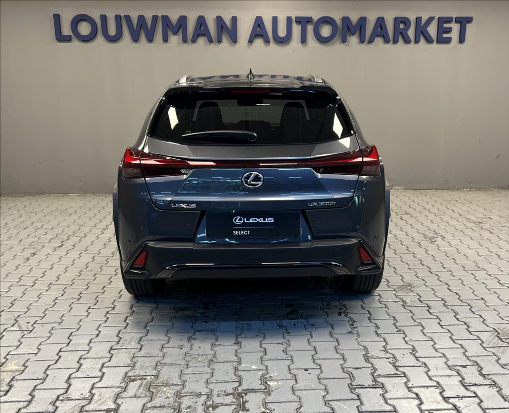 Lexus UX 300h
