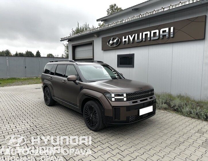 Hyundai Santa Fe 1