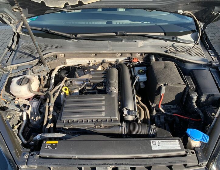 Volkswagen Golf 24