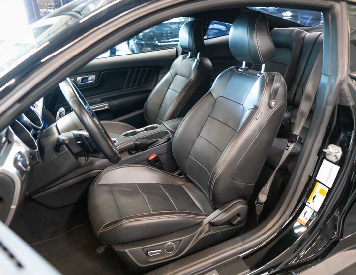 Ford Mustang 13