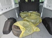 Ford Transit 7