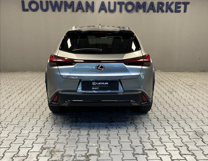 Lexus UX 300h 11