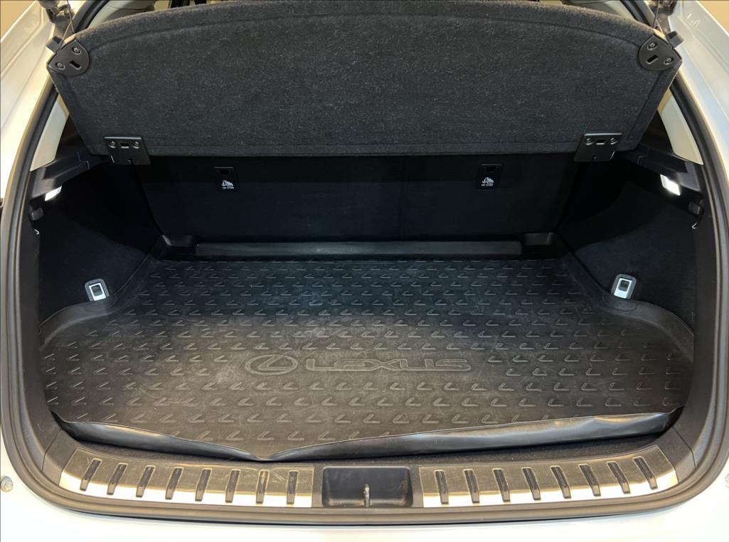 Lexus NX 300h