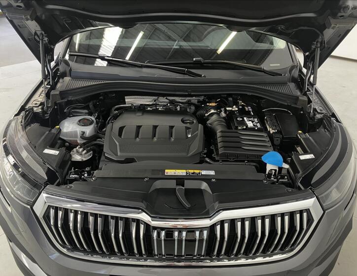 Škoda Kodiaq 30