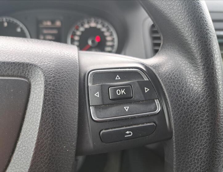 Seat Alhambra 29