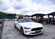 Ford Mustang 8