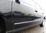 Volkswagen Passat 49