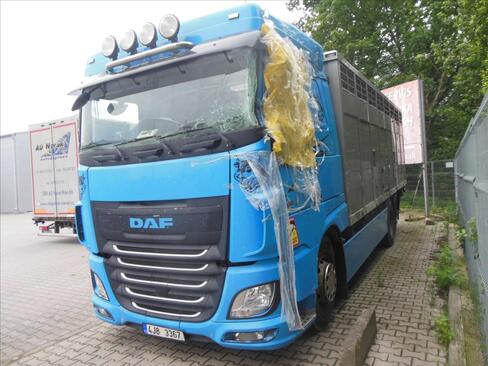 DAF Ostatní