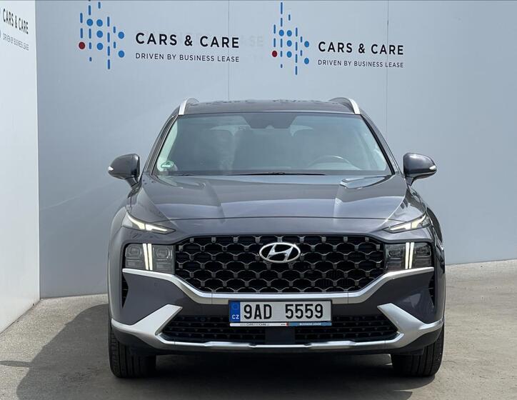 Hyundai Santa Fe 22
