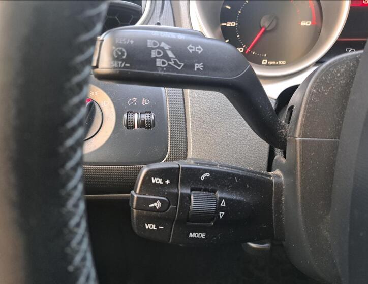 Seat Ibiza 29