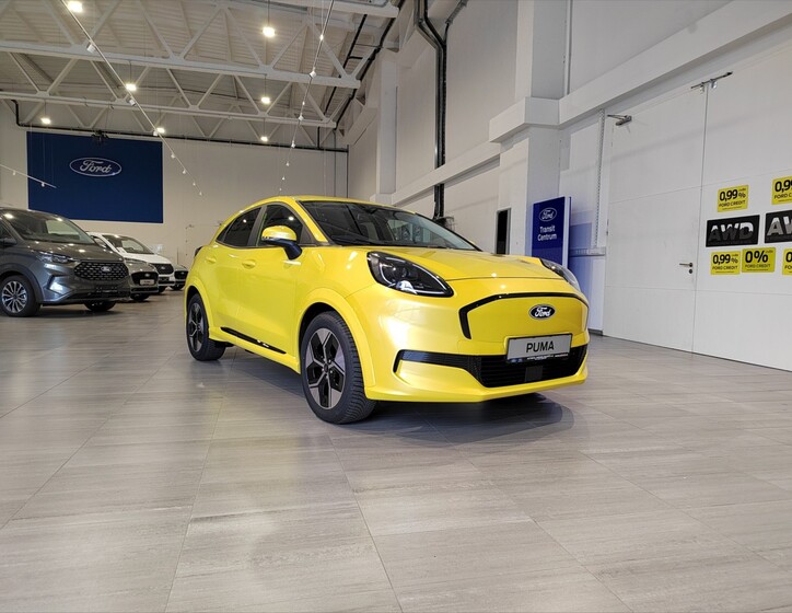 Ford Puma 11