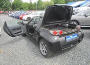 Smart Roadster 24