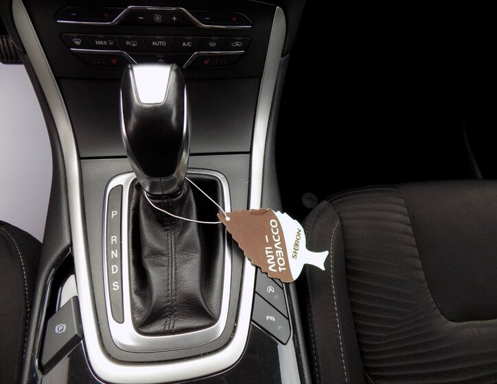Ford S-MAX 32