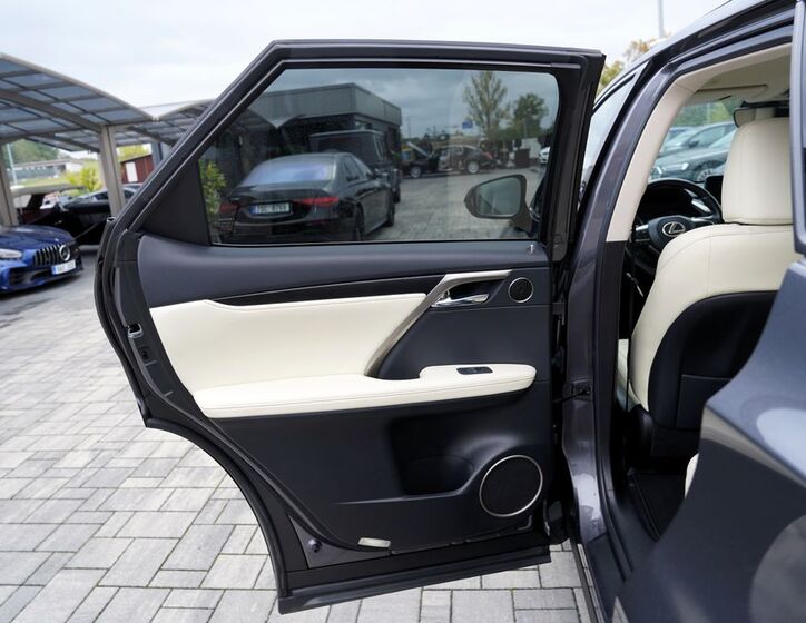 Lexus RX 450 18