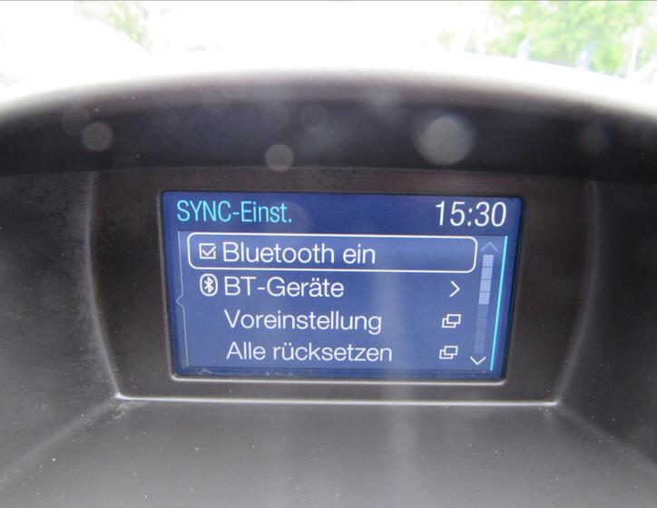 Ford Fiesta 17