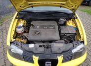 Seat Ibiza 29