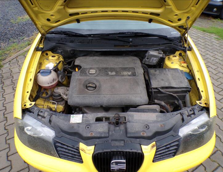 Seat Ibiza 29