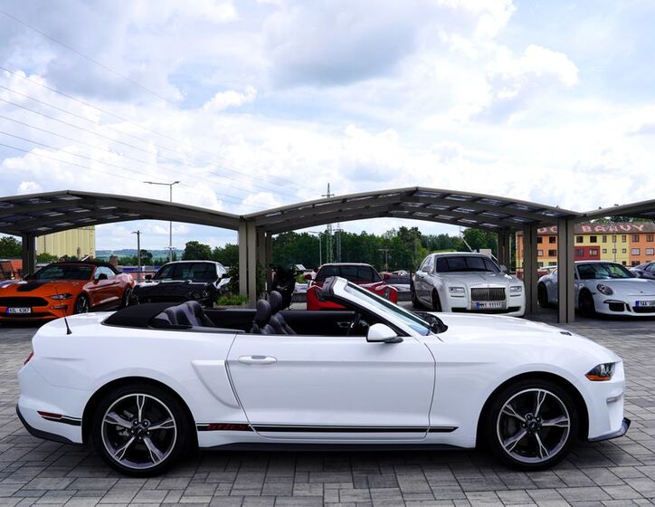 Ford Mustang 20