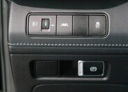 Hyundai Santa Fe 19