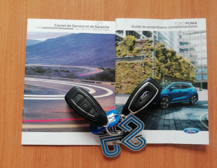 Ford Puma 33