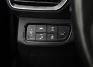 Hyundai Santa Fe 23