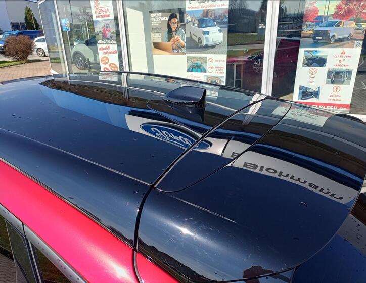 Ford Mustang Mach-E 13