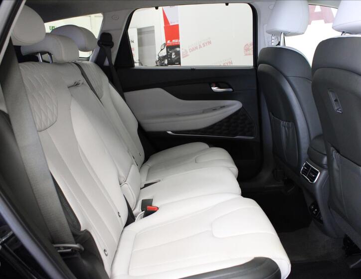 Hyundai Santa Fe 13