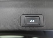 Cupra Terramar 32